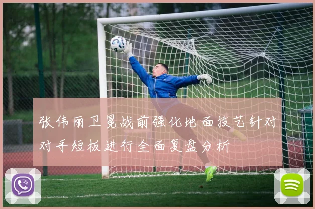 张伟丽卫冕战前强化地面技艺针对对手短板进行全面复盘分析